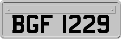 BGF1229