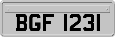 BGF1231