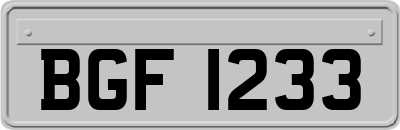 BGF1233
