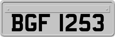BGF1253