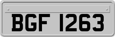 BGF1263