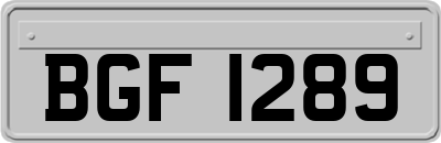 BGF1289