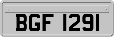 BGF1291