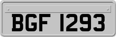 BGF1293