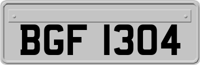 BGF1304