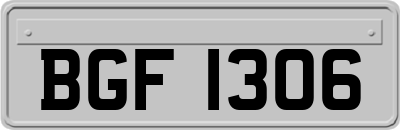 BGF1306