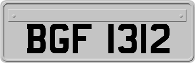 BGF1312