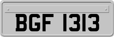 BGF1313