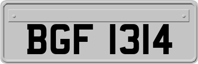 BGF1314