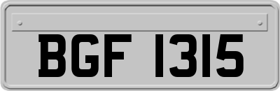 BGF1315