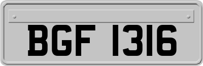 BGF1316