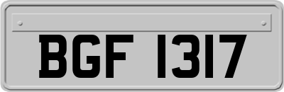 BGF1317