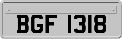 BGF1318