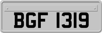 BGF1319