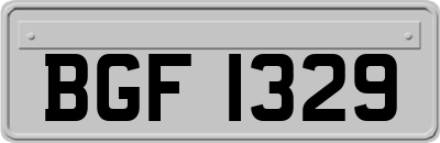 BGF1329