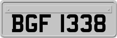BGF1338