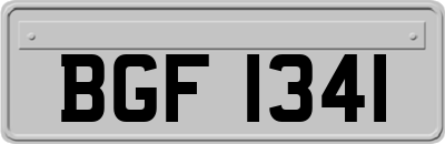 BGF1341