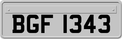 BGF1343