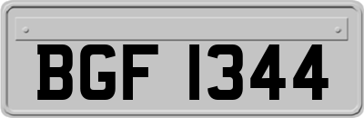 BGF1344