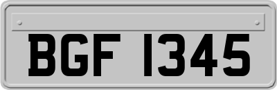 BGF1345
