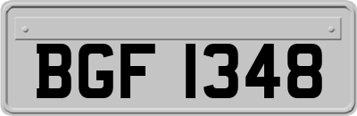 BGF1348