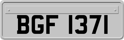 BGF1371