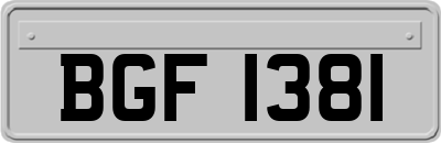BGF1381