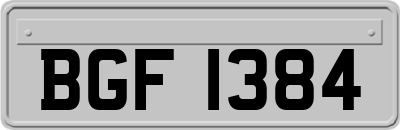 BGF1384