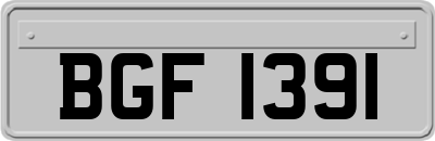 BGF1391
