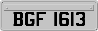 BGF1613