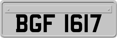 BGF1617