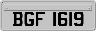 BGF1619