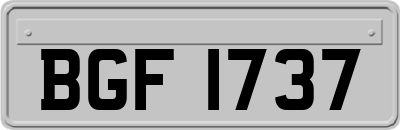 BGF1737