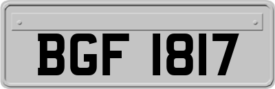 BGF1817