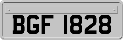 BGF1828
