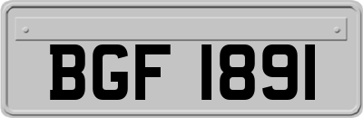 BGF1891