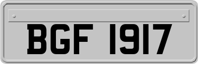 BGF1917