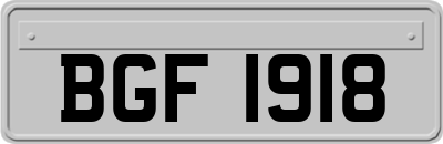 BGF1918