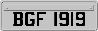BGF1919