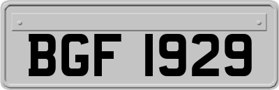 BGF1929