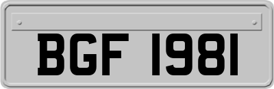 BGF1981