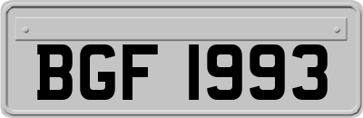 BGF1993