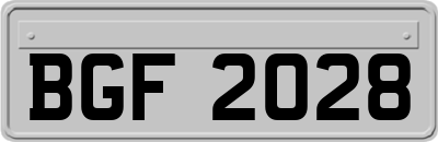 BGF2028
