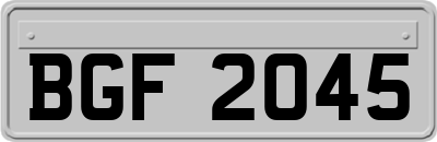 BGF2045
