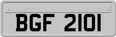 BGF2101