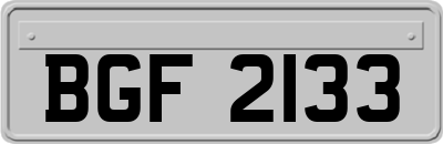 BGF2133