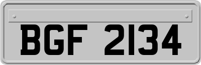 BGF2134