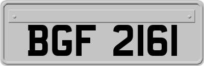 BGF2161