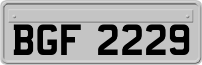 BGF2229