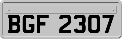 BGF2307